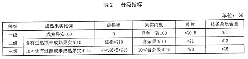 表2.jpg
