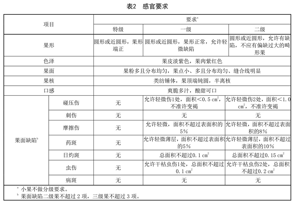 表2.jpg