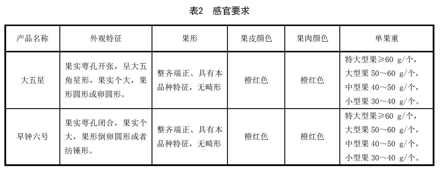 表2.jpg